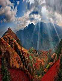 普洱婚姻律师照片