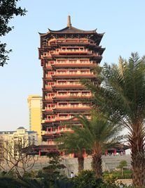 钦州婚姻律师照片